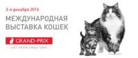 Выставка кошек Grand Prix Royal Canin, акции и скидки в зоомагазинах